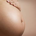 Gravid