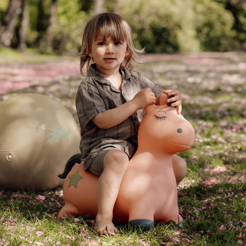 Find That Hippo Hoppedyr - Luna the Unicorn