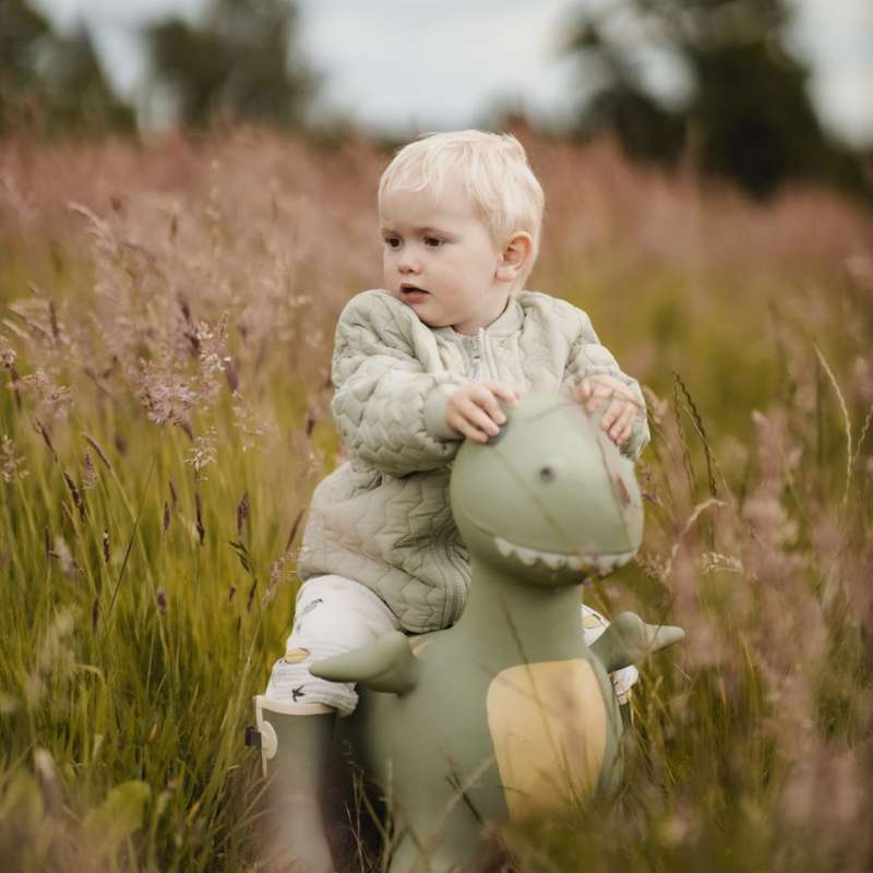 Find That Hippo Hoppedyr - Dexter the Dino