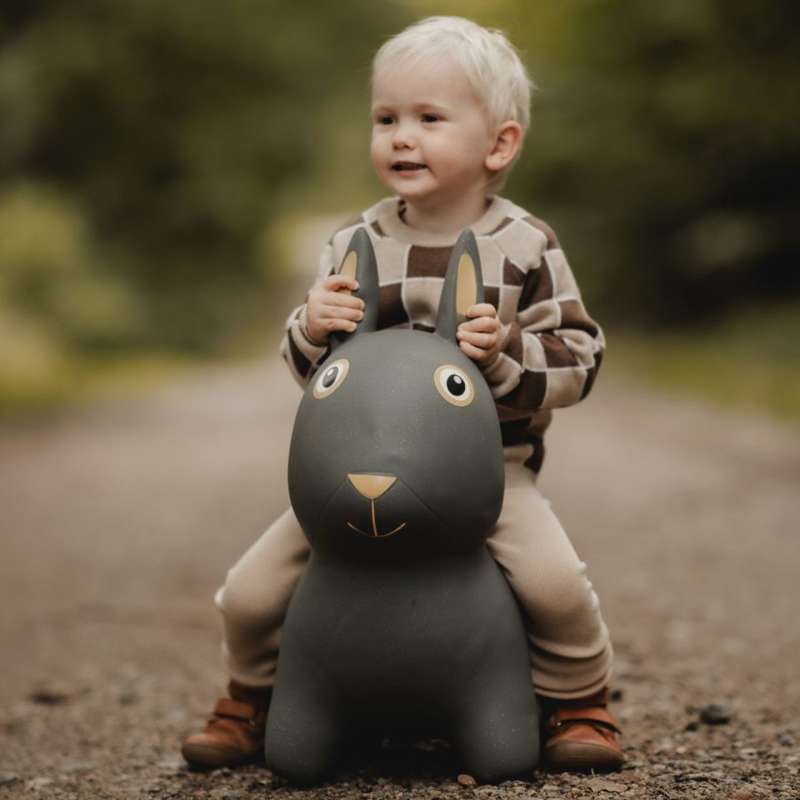 Find That Hippo Hoppedyr - Thumper the Rabbit