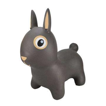 Find That Hippo Hoppedyr - Thumper the Rabbit