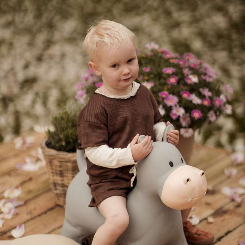 Find That Hippo Hoppedyr - Holger the Hippo