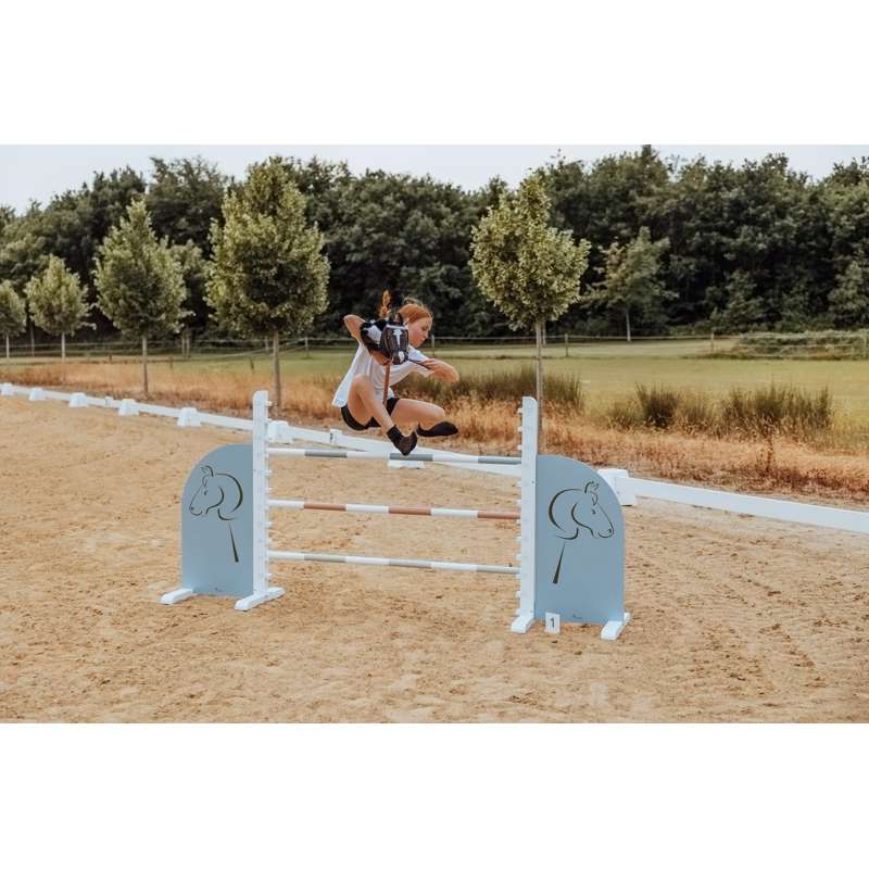 By Astrup Springsider - Heste