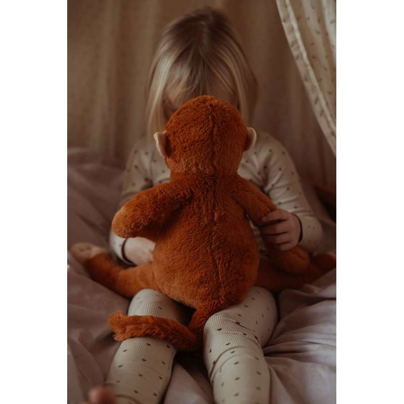 By Astrup Tyngdedyr - Abe - 1.8kg