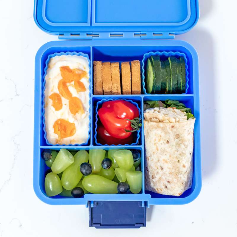 Little Lunch Box Co. Bento 5 Madkasse - Blueberry