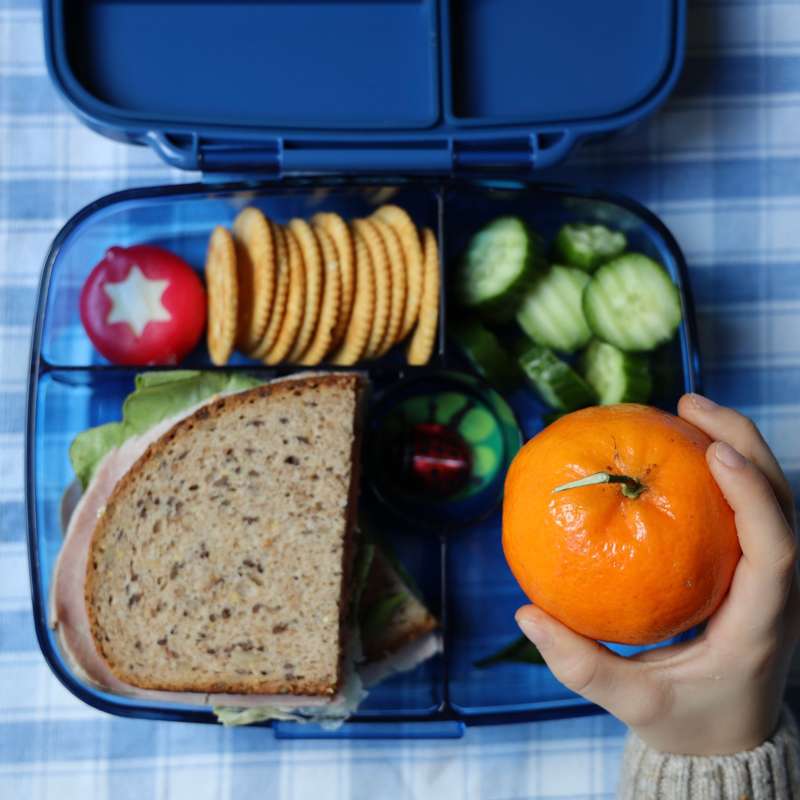 Yumbox Madkasse - Go - 5 rum - Oslo Blue